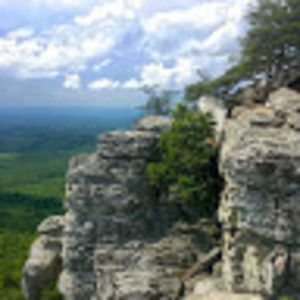 Meet your Posher, Cody